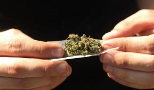 marihuana_2