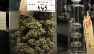 uruguay + marihuana