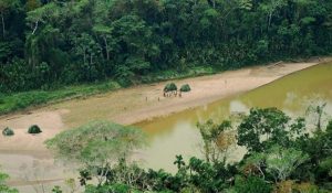 Amazonas