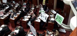 Bolivia + sesion legislativa + tipnis