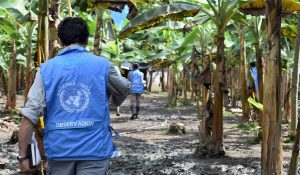 Colombia ´+ misión ONU