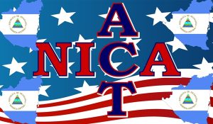 NICA-ACT-2