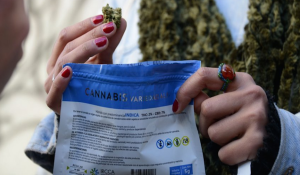 marihuana legal