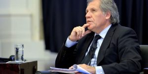 almagro stella
