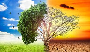 cambio climático