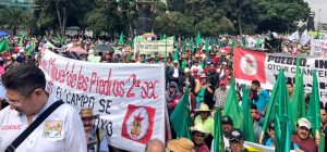 campesinos + tlcan + méxico
