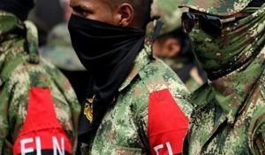 eln1