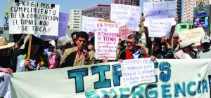 indígenas + tipnis + bolivia