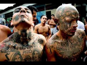 mara salvatrucha
