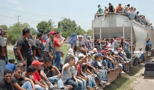 migración