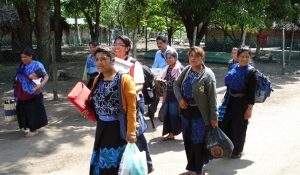 méxico+mujeres campesinas