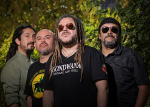 nodal gondwana