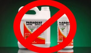 paraquat + prohibido