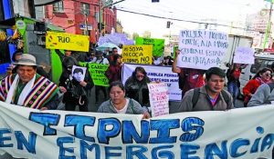 tipnis + bolivia