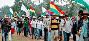 tipnis + indígenas + bolivia