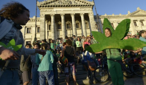 Marihuana Uruguay