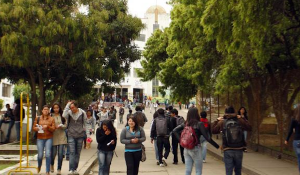 Universidad Nacional de Colombia
