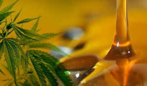 aceite-cannabis-para-tratar-fibromialgia-750x400
