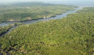 amazonas+brasil