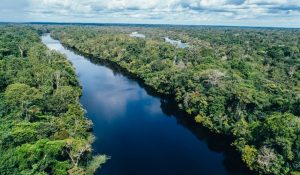 amazonia