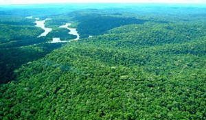 amazonia
