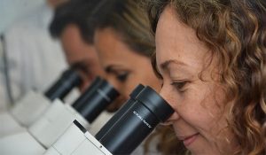 ciencia
