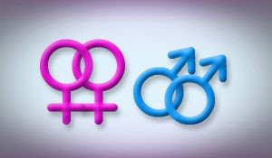 homosexualidad