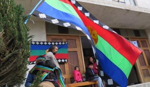 mapuche