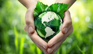 medioambiente