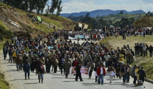 CampesinoscolomCanva