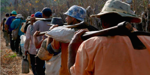 trabajo esclavo