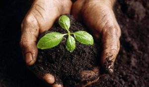 agroecología
