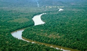 amazonia