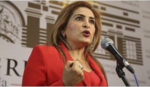 maritza-garcia-renuncia-a-comision-de-la-mujer-he--780504-jpg_604x0