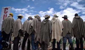 paro1.jpg_1718483347