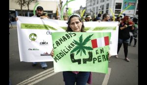 perú-marihuana