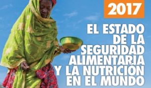 informe fao