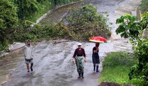 tormenta nate