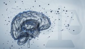 Brain activity