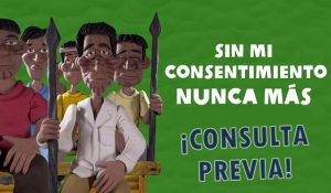 CONSULTA PREVIA