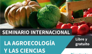 Unam Canva