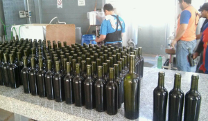 VinosUnlar