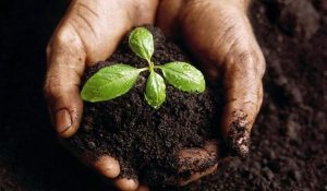 agroecología