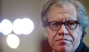 almagro-oea