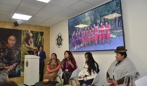 clima-mujeres indígenas