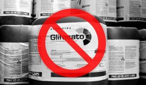 glifosato