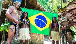 indígenas + brasil