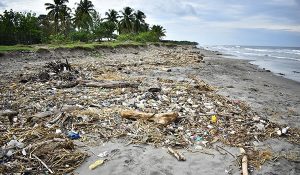 mar caribe- contaminacion