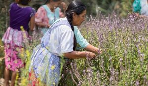 mujeres