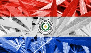 paraguay